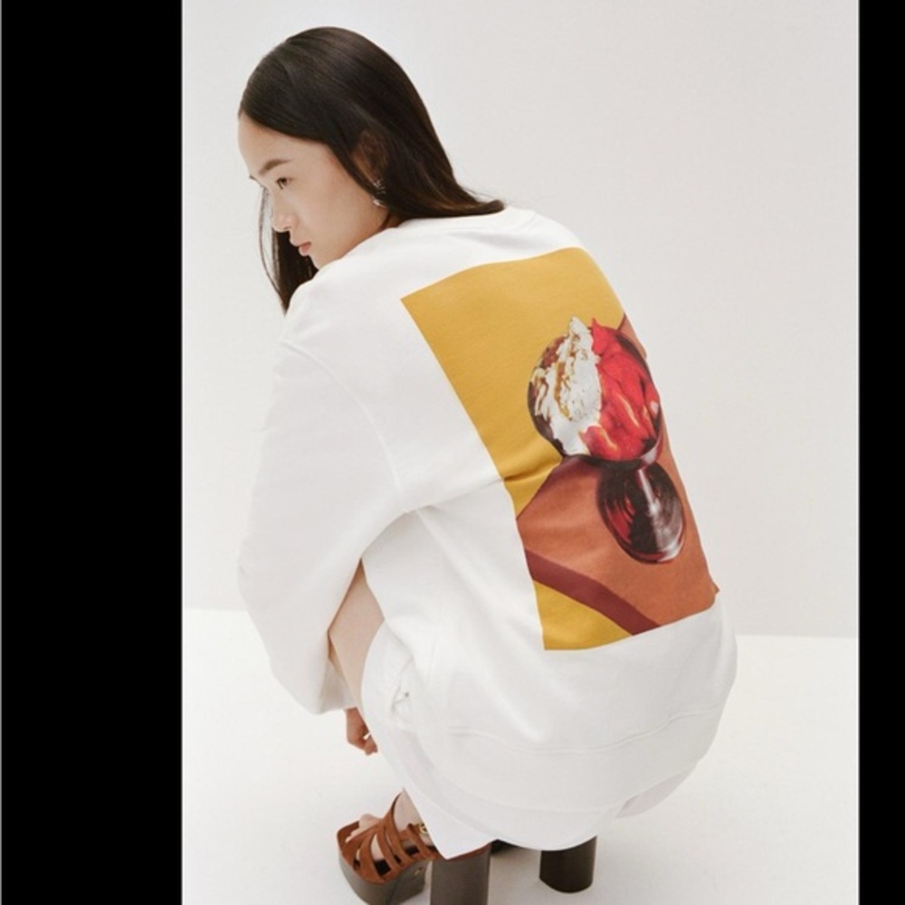NWOT Zara CONTRAST PRINT SWEATSHIRT